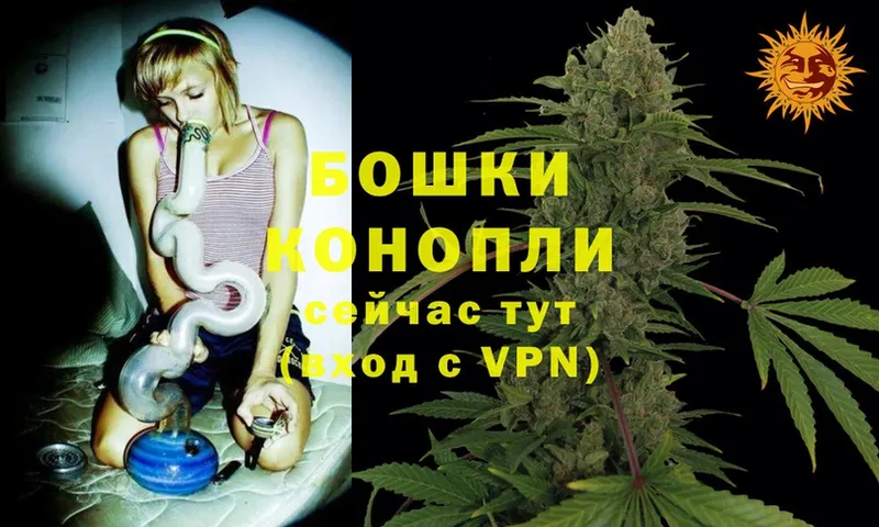 МАРИХУАНА SATIVA & INDICA  магазин    Рассказово 